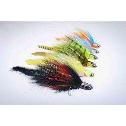 Crazy Rabbit Shallow